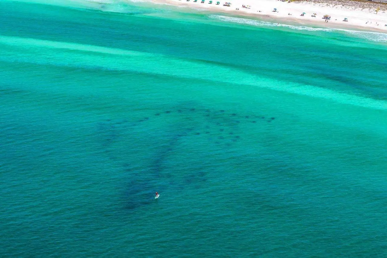 Leeward Key 204 Apartment Destin 0*,  United States
